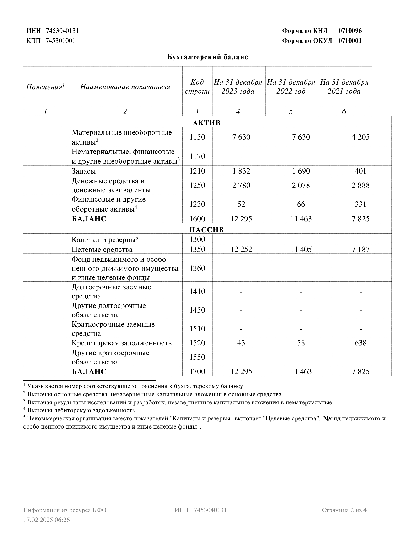 Бухгалтерский баланс на 17.02.2025